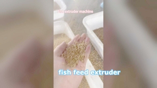 Wet-process fish feed extruder