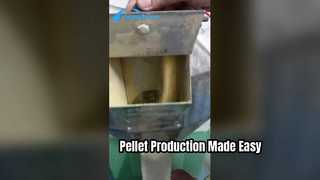 “Feed Pellet Production Line: Best Solutions for Efficient Animal Feed Production”