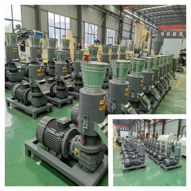 22kw 250-350kg/H Wood Pellet Mill To Make Biofuel Pellet With High Density