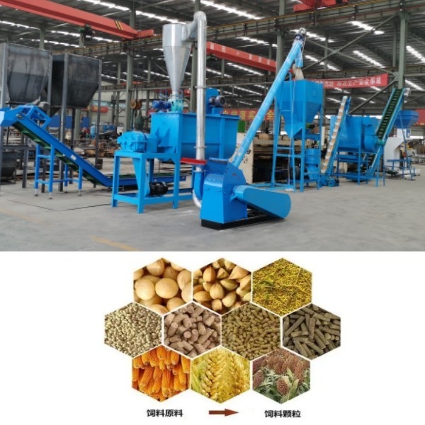 Chicken Beef Sheep Poultry Meal Pellet Mill Pelletizer Production Line Feed Pellet Production Line