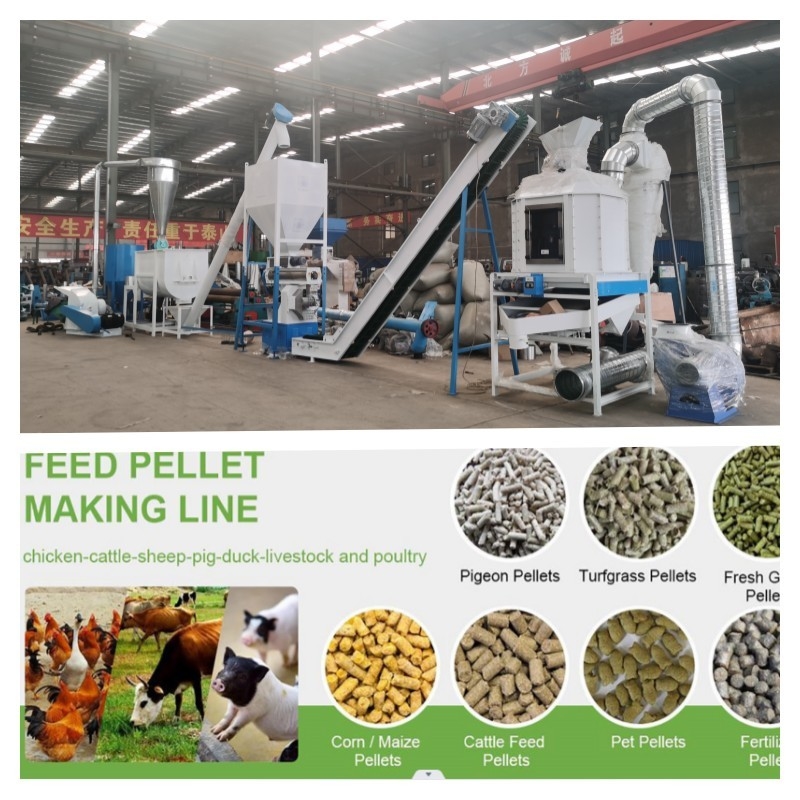 Consistent and Precise Pelletizing with Pellet Feed Production Line Capacity 1-20t/h