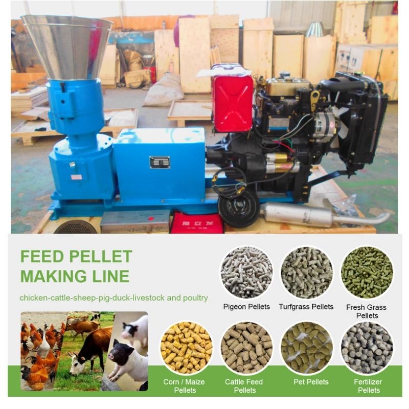 100-1200 Kg/Hour Feed Pellet Mill With Electric Motor Or Diesel Engine