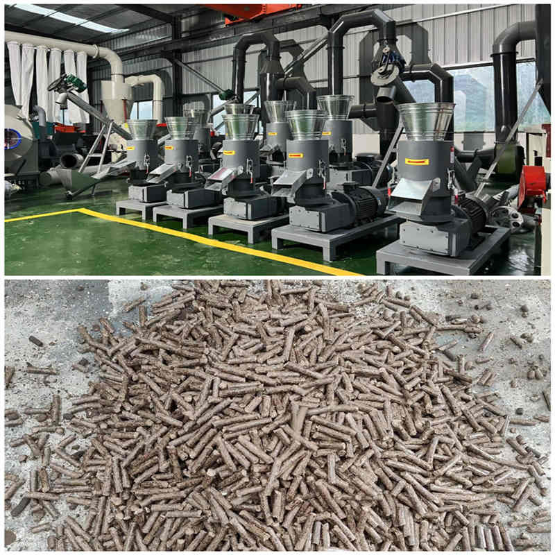 Sawdust Pellet Machine MOQ 1 Set 380V Voltage Wood Pellet Mill Customizable Color