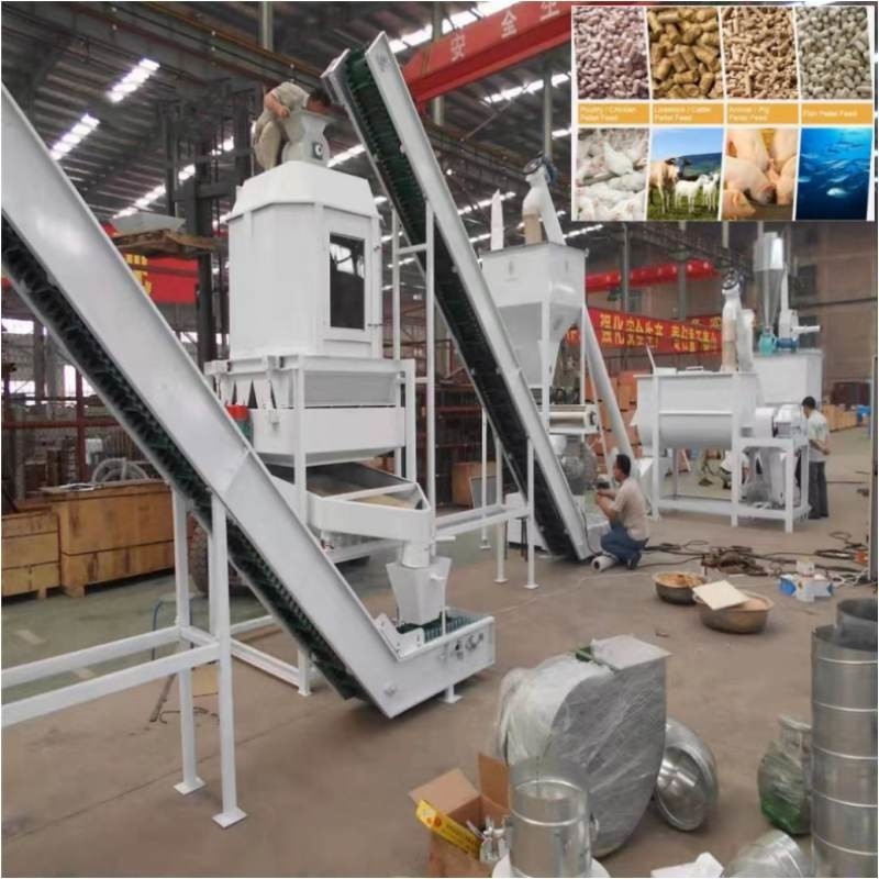 Farm Feed Pellet Production Line 20ton/H Complete Cattle Feed Making Machine