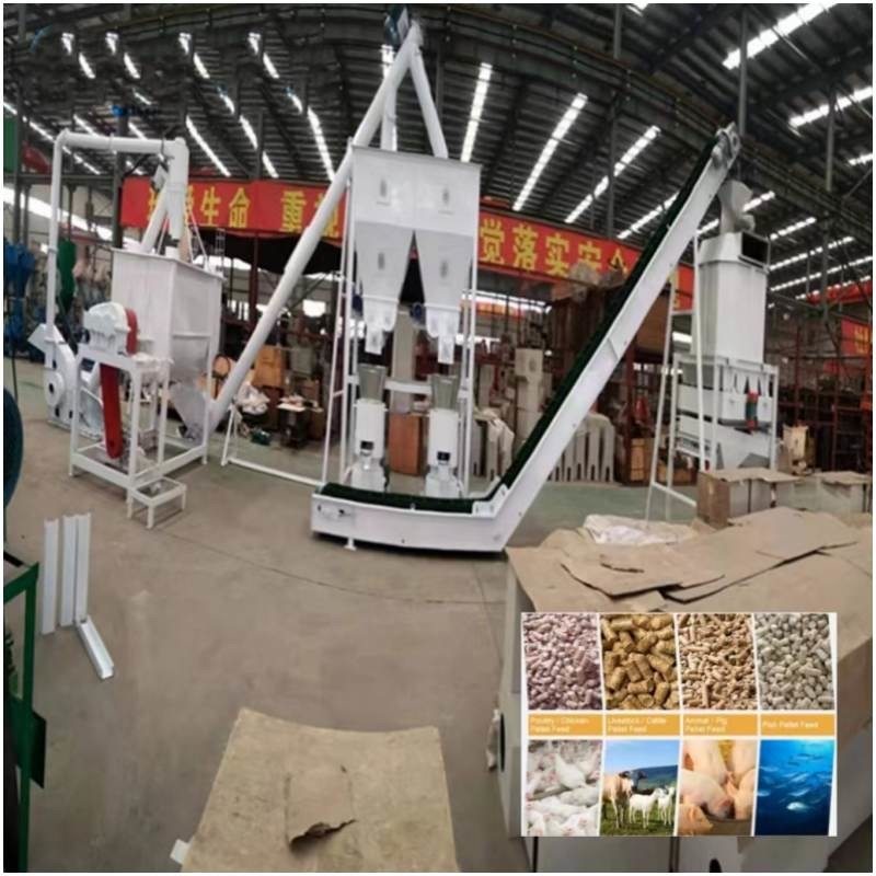Farm Feed Pellet Production Line 20ton/H Complete Cattle Feed Making Machine