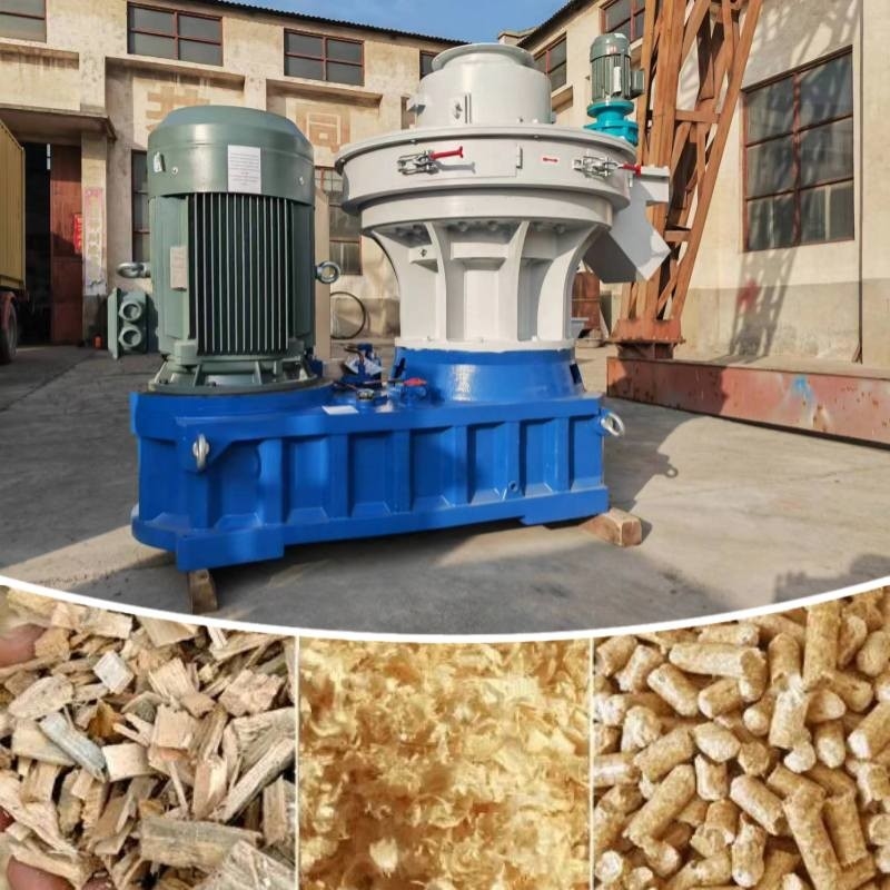 1~3t/H Ring Die Biomass Fuel Wood Pellet Mill With 8mm Pellets For Home Heating
