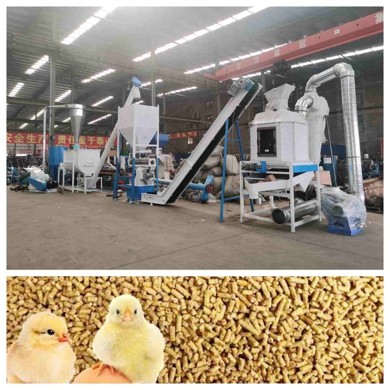 CE Feed Pellet Production Line 5t/H Ring Die Feed Pellet Machine With Steam Generator