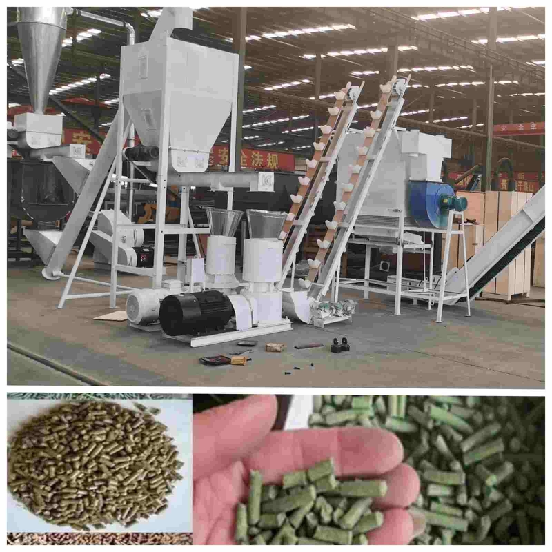 2ton/H Automatic Poultry Pellet Machine 2.5mm Pellet Making Machine For Poultry Feed
