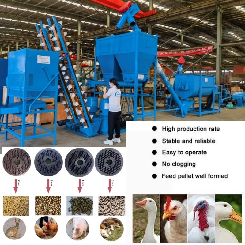 Horizontal Sheep Feed Pellet Machine 1.5 Tons/H Cow Pellet Machine For Cattle Feed