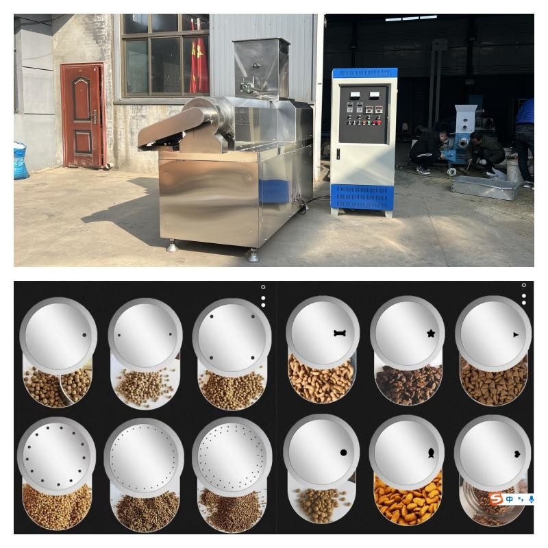 Stainless Steel Dry Type Fish Feed Extruder 55kw Dry Pet Food Production Line