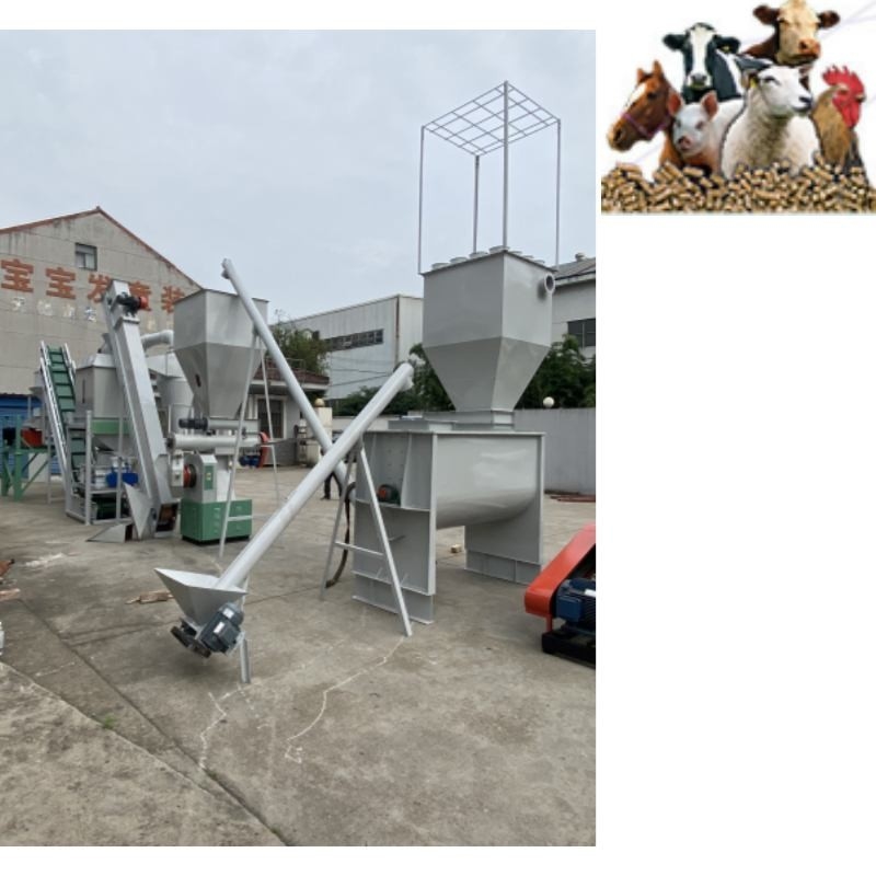 500kg/H Animal Feed Pellet Production Line Ring Die Poultry Feed Pellet Mill Animal Feed