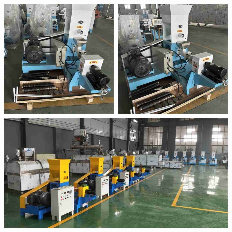 100-200kg/H Tilapia Floating Feed Extruder Machine Pet Feed Pellet Machine Screw Press
