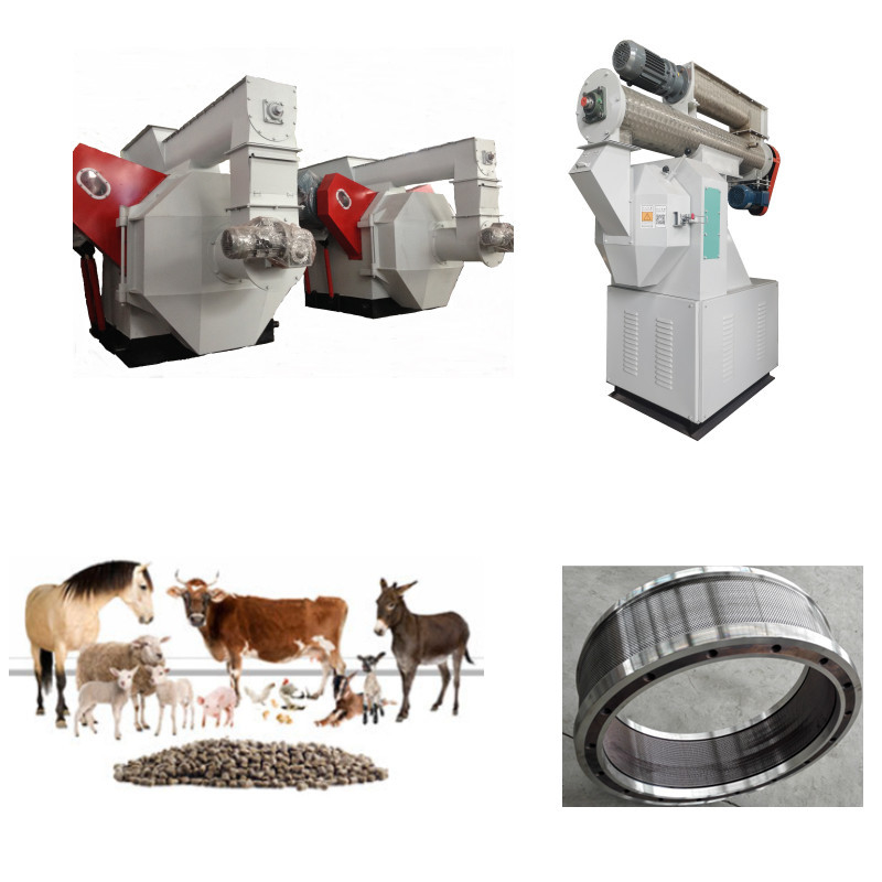 High-Efficiency Feed Pellet Production Line Clean Crush Mix Granulate Cool Screen Pack