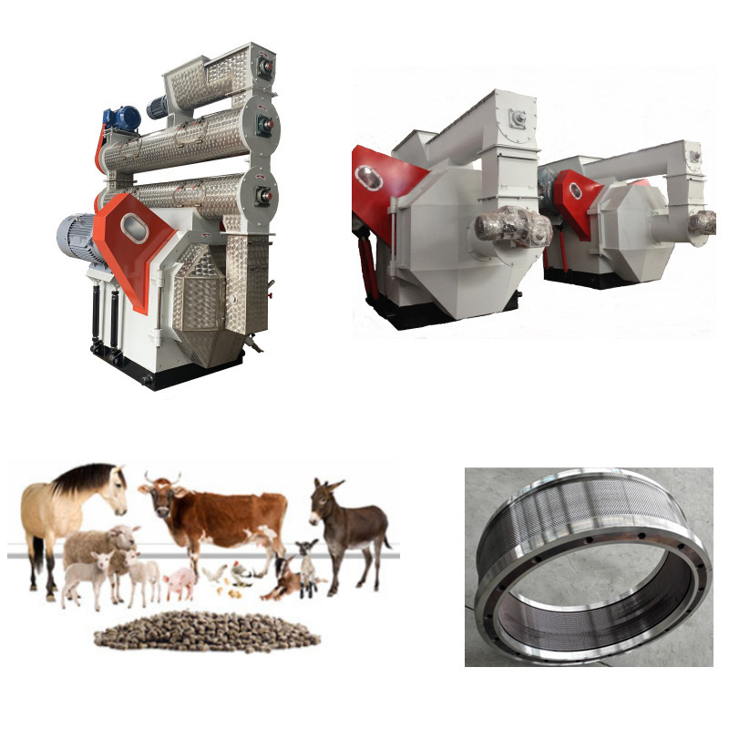 High-Efficiency Feed Pellet Production Line Clean Crush Mix Granulate Cool Screen Pack