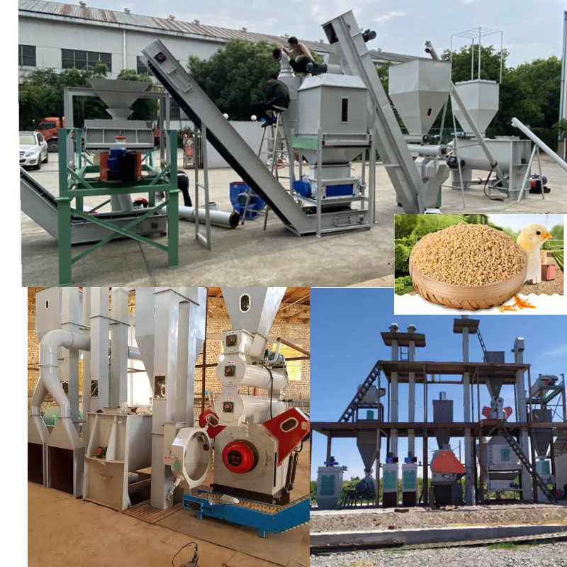 High-Efficiency Feed Pellet Production Line Clean Crush Mix Granulate Cool Screen & Pack