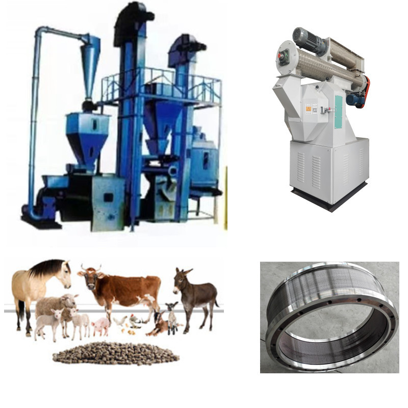High-Efficiency Feed Pellet Production Line Clean Crush Mix Granulate Cool Screen & Pack