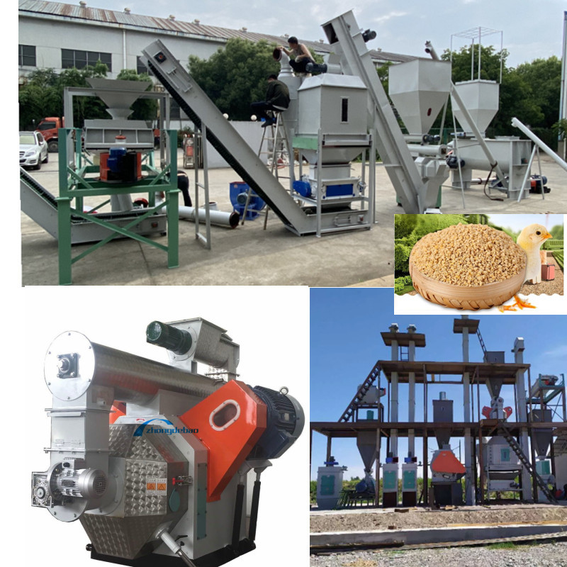 High-Efficiency Feed Pellet Production Line Clean Crush Mix Granulate Cool Screen Pack