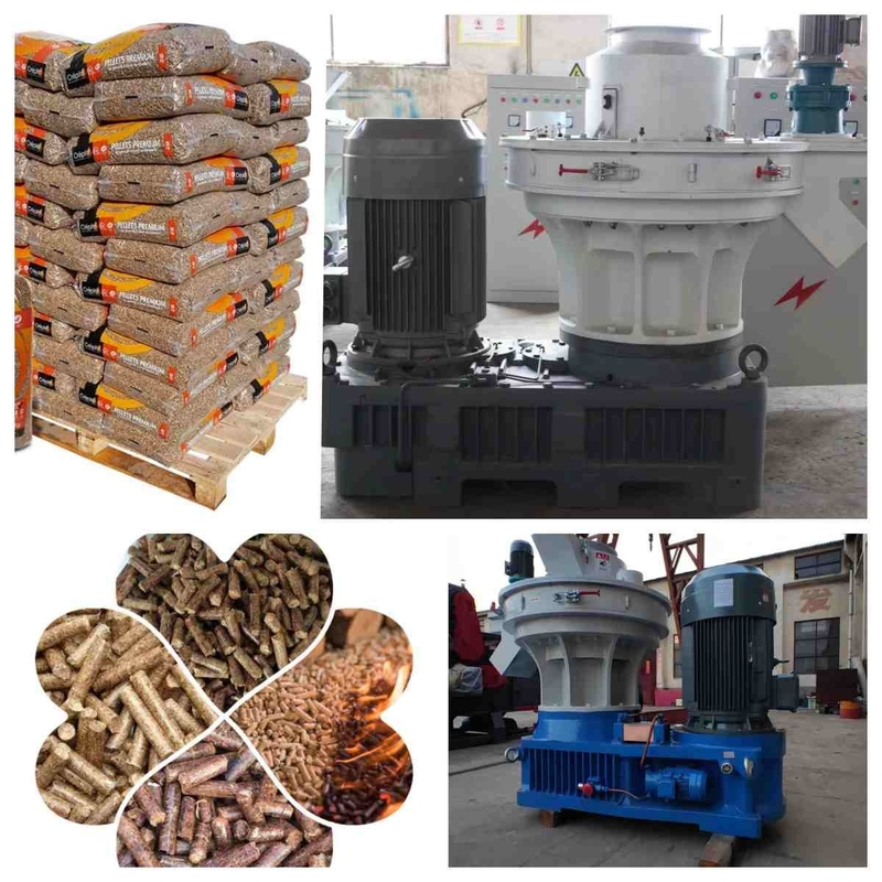 1-1.5ton/H Ring Die Pellet Mill Machine Wood Rice Husk Pellet Making Machine
