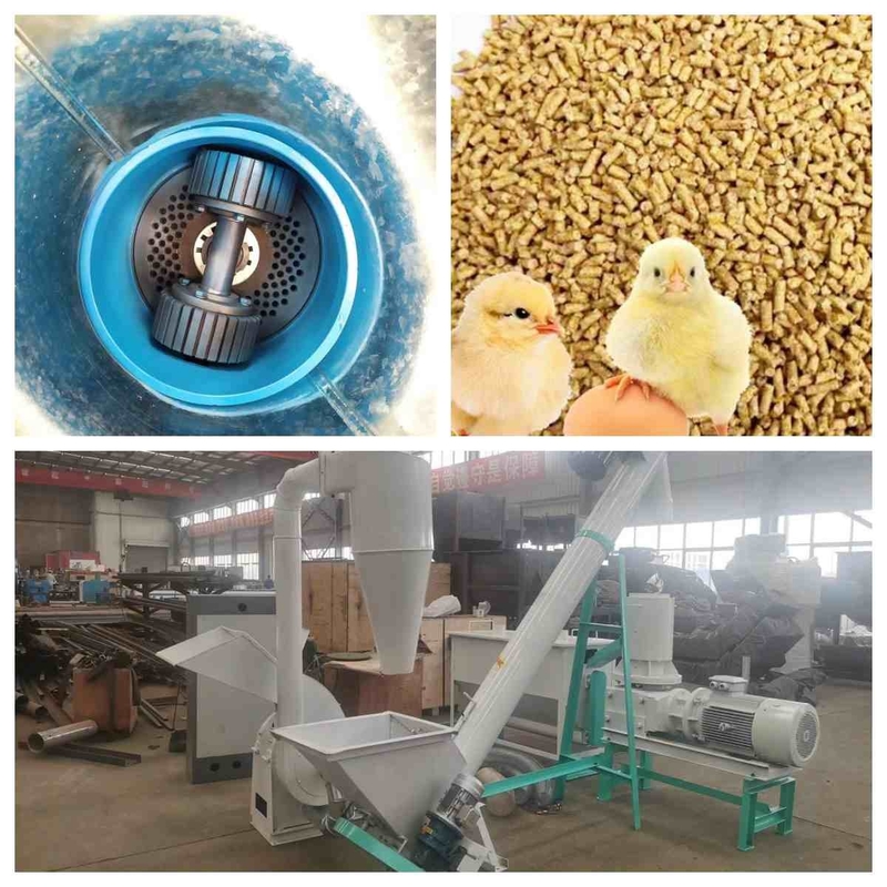 Flat Die Feed Pellet Maker 300kg/H -1000Kg/H Small Animal Feed Pellet Production Line