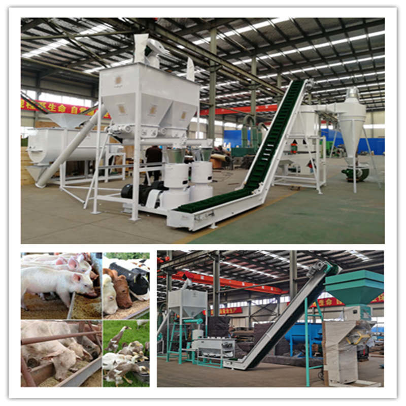 0.5-30 Tons/h Animal Feed Pellet Production Line With Ring Die Pellet Mill