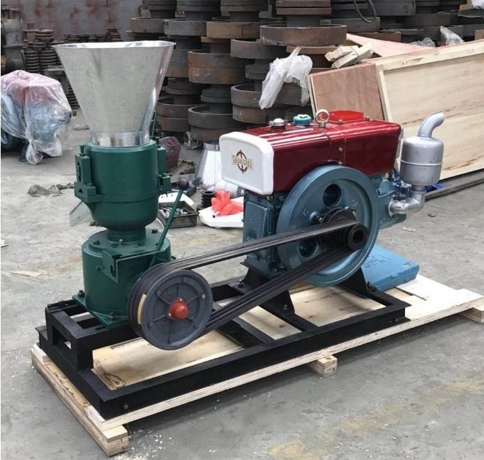 22HP Feed Pellet Mill Color Customization For Chicken Feed