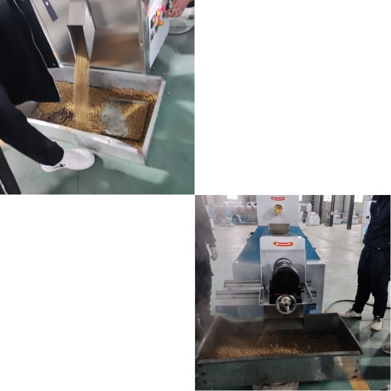 Automatic Dry Type Fish Feed Extruder Electric Heating For Large Scale Production