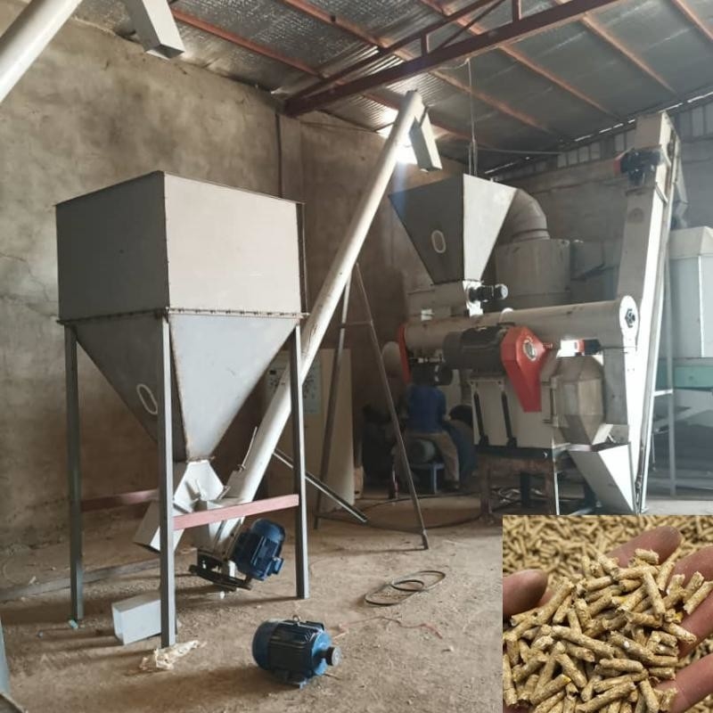 Animals Feed Pellet Production Line Poultry Breeding Feed Pelletizing Machine Make Pellet For Animal Feed