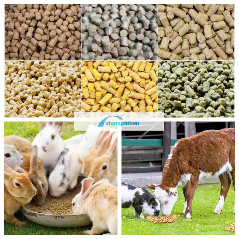 600-800 KG/H Output Fish Animal Feed Mill Dog And Cats Feed Pellet Equipment Food Extruder Pelletizer Machine