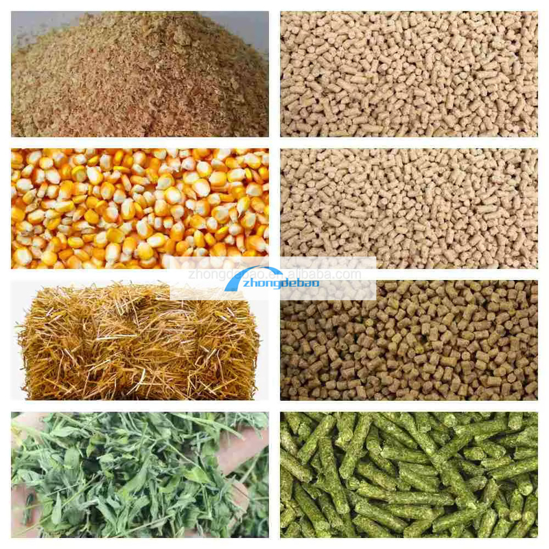 300-400 KG/H Pet Food Pellet Machine With High Productivity Diesel Type Pellet Mill Machine