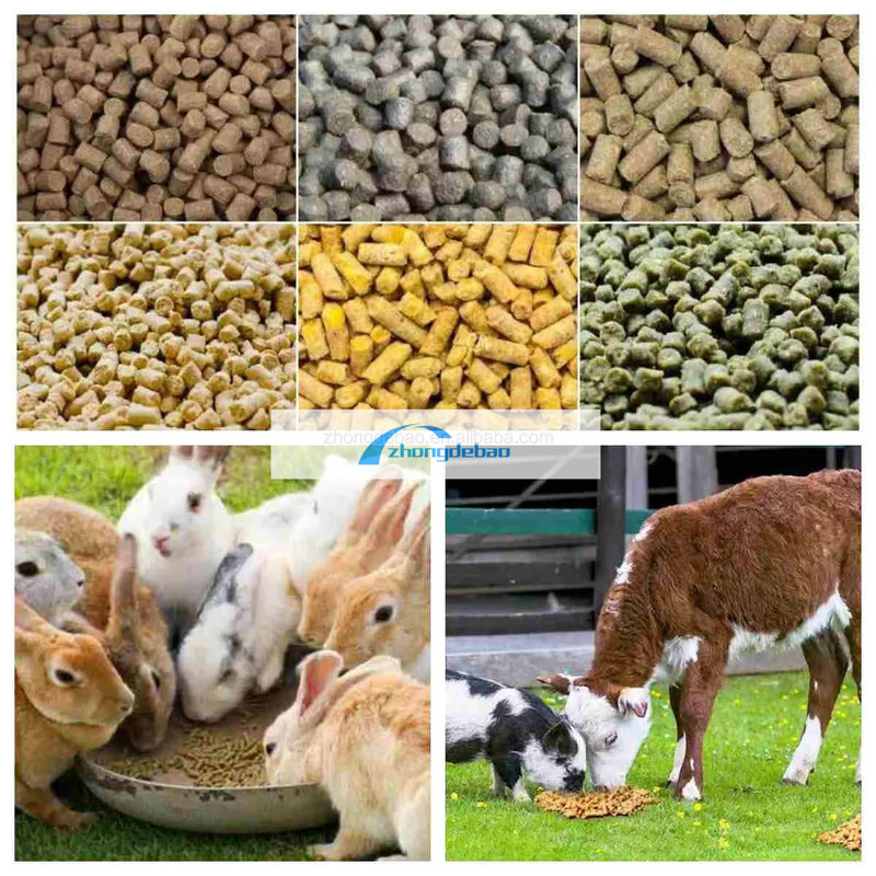 300-400 KG/H Pet Food Pellet Machine With High Productivity Diesel Type Pellet Mill Machine