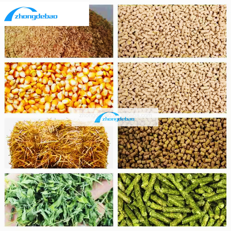 10HP Diesel Type Feed Pellet Machine 90kg/h Animal Feed Mill Machine