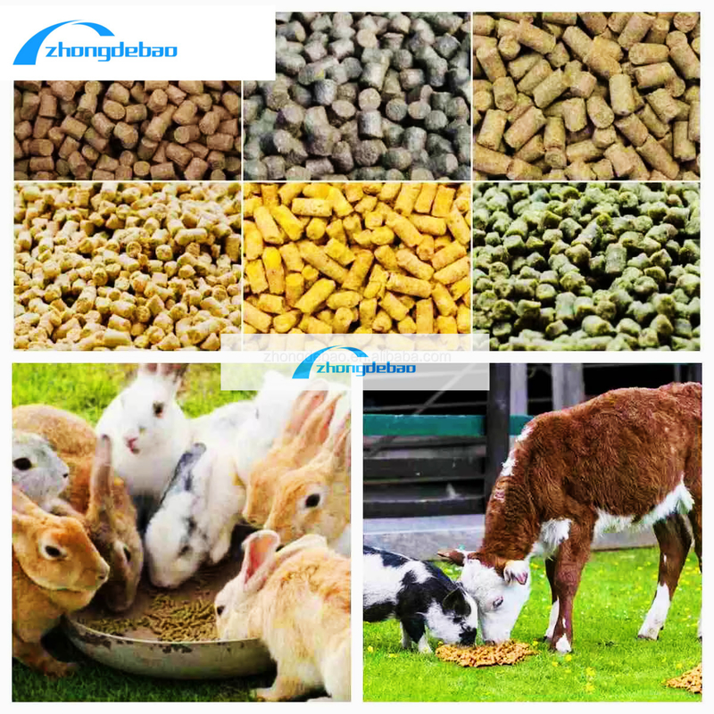 New Design 10HP Diesel Type Feed Pellet Machine 90kg/h Animal Feed Mill Machine
