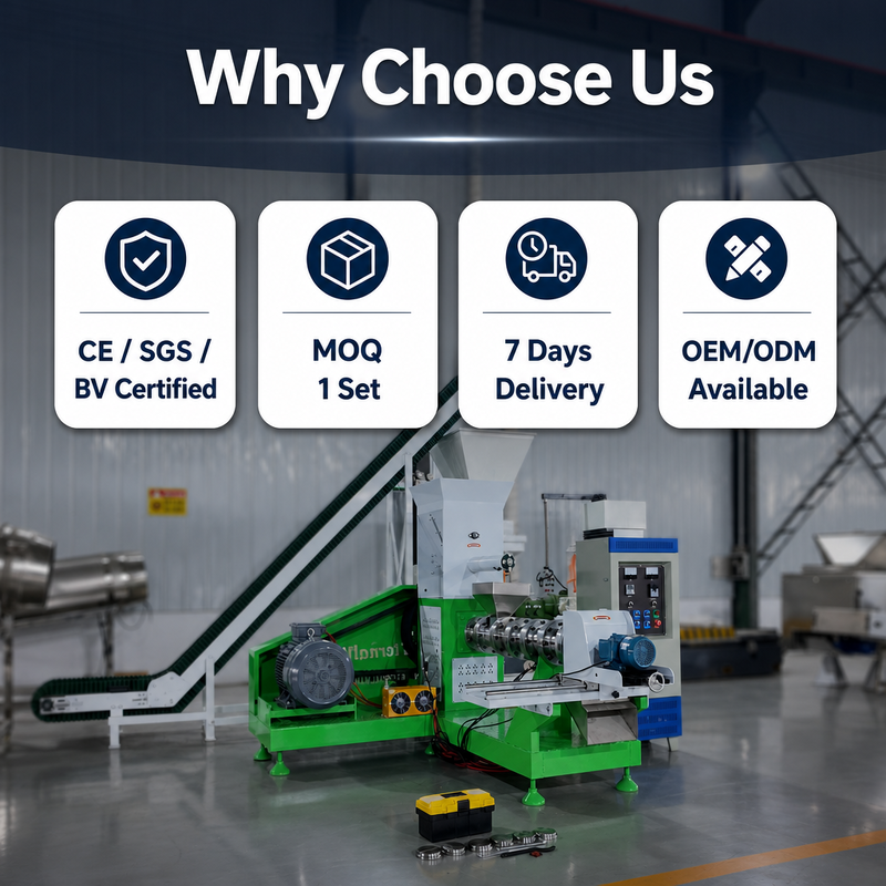 Commercial Floating Fish Feed Pellet Machine DGP100 Extruder For Shrimp Feed Production With High Output Design