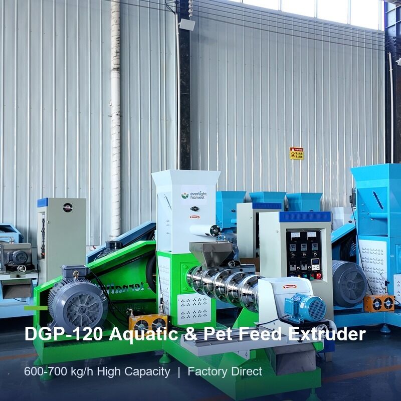DGP100 Aquaculture Feed Machine Twin Screw Extruder For Commercial Shrimp Feed Pellet Production Line With Stable Run