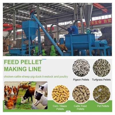 CE 3000kg/H Poultry Animal Feed Pellet Production Line  Customized Colour