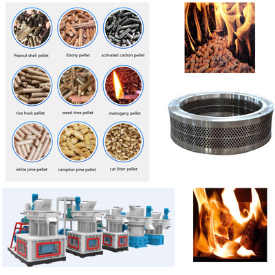 55-160kw Wood Pellet Machine 4-12mm Diameter Feed Pellet Machine