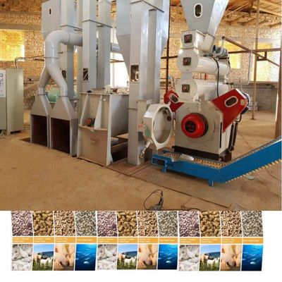 Flat Ring Die Pellet Mill Animal Feed Pelletizing Line for and Engineer Guide Installation